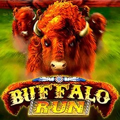 Buffalo Run